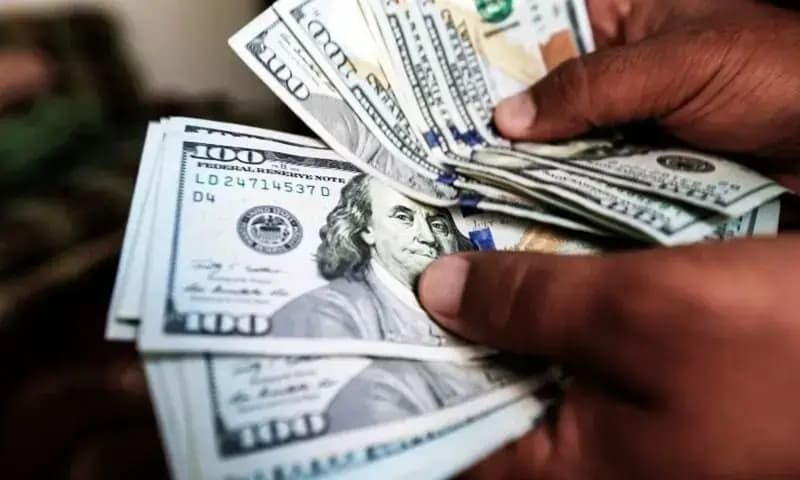 Pakistan's Treasury Bills Draw $114m in Faith-Driven Growth