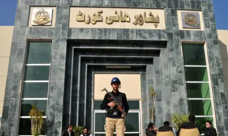 Justice Prevails: Peshawar High Court Denies Bail to Swat Gang Rape Accused