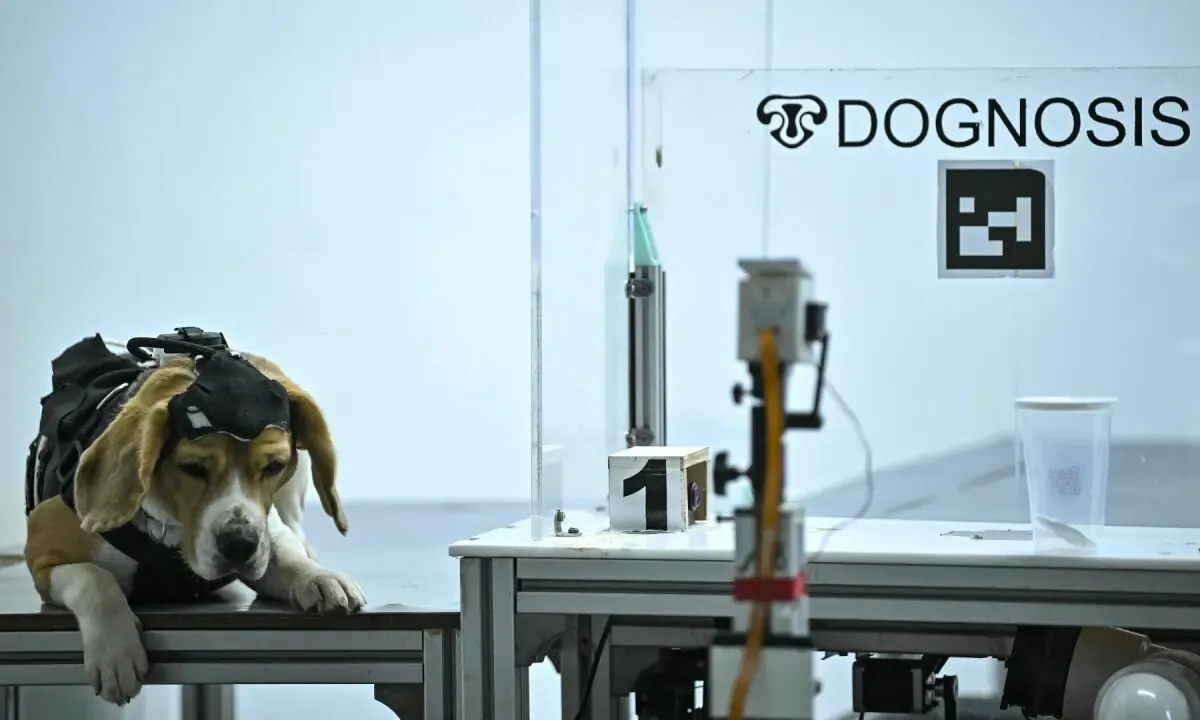 AI and Man's Best Friend: Pakistan's Fight Against Cancer Gets a New Ally